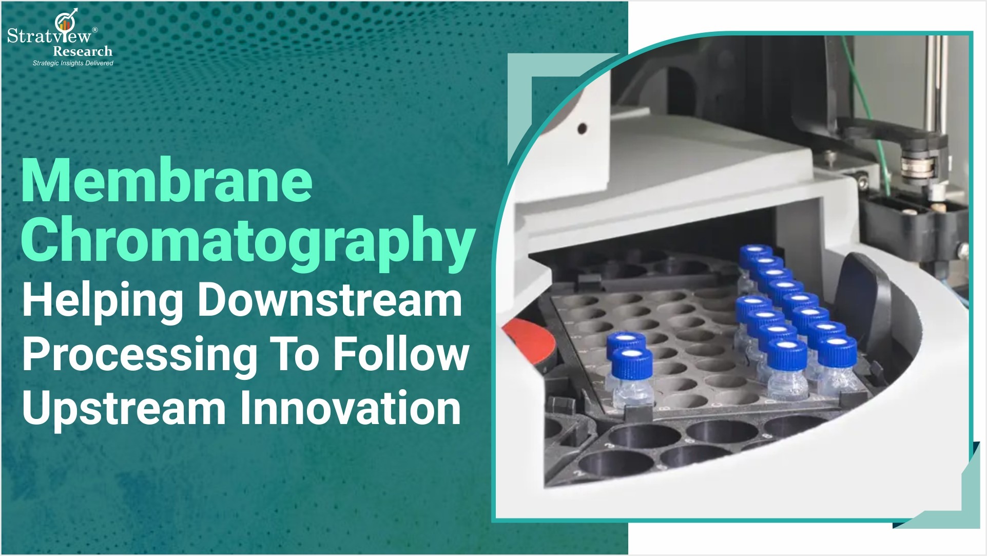 Membrane Chromatography Helping Downstream Processing To Follow Upstream Innovation
